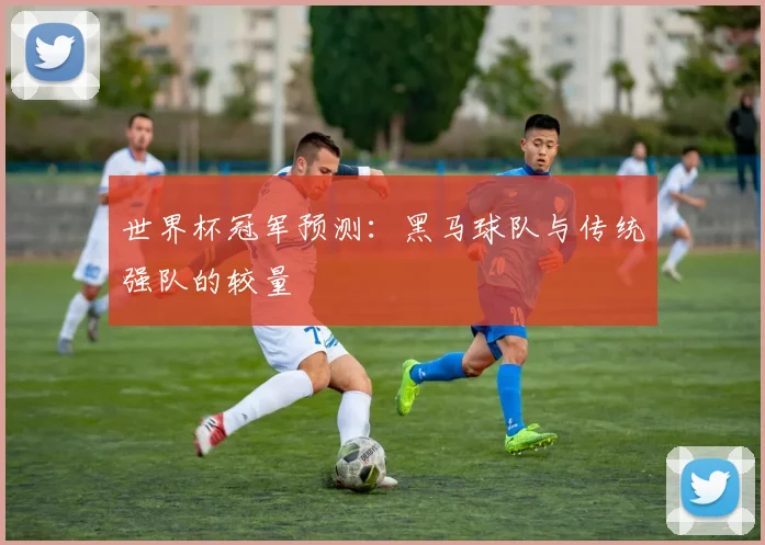 世界杯冠军预测：黑马球队与传统强队的较量
