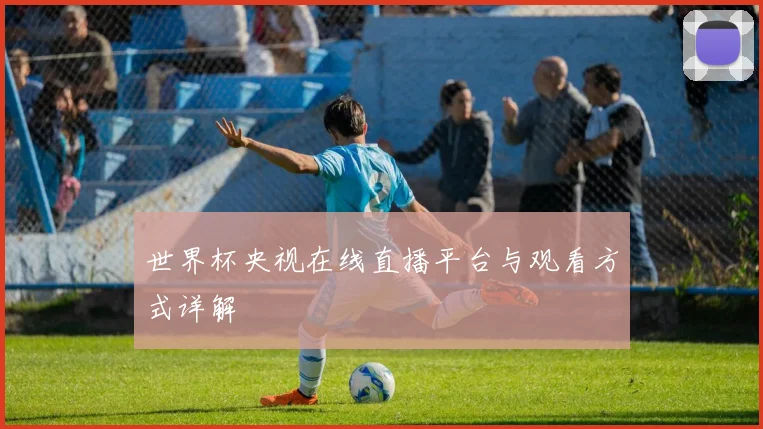 世界杯央视在线直播平台与观看方式详解