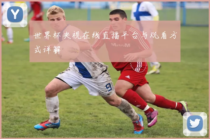 世界杯央视在线直播平台与观看方式详解